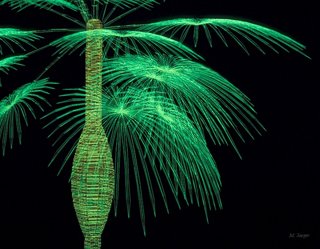 PalmTree_Zoom.jpg - Palm Tree Crown. Detail. Wire frame 3D model on 256 Tektronix work station. (Work Station courtesy of  CNRS Kronenbourg Center Strasbourg). Photograph from Screen. // CNRS - Cirad AMAP // 1985