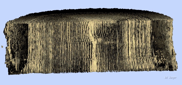 Cerne620.gif - 3D Norway Spruce Log detail internal structure reconstruction from CT scan images. EU FAIR Stud Project. CT Scan courtesy of Lulea Univesity, Sweden. // INRA Champenoux - Cirad AMAP // 1994