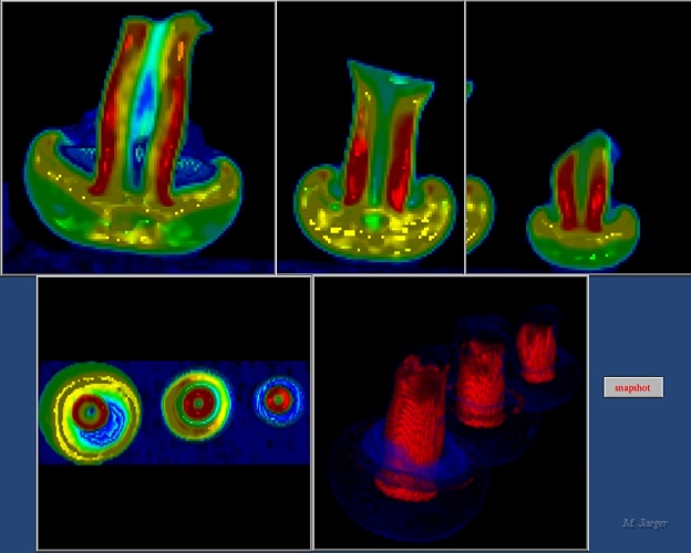 Champignon1.jpg - Mushrom internal structure study from CT scan images. R&D study for Jampi-Jandou Company. // Cirad AMAP // 1993