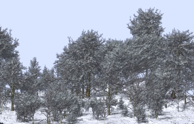 SnowTime04.jpg - Small Wood scene discretized to Voxel Space. Ray Traced Volume rendering. // LIAMA Beijing - Cirad AMAP // 2004