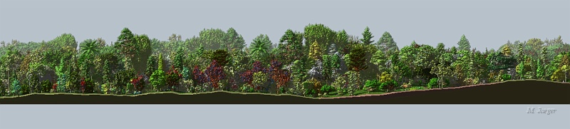 TheScene002.jpg - Huge scene discretized to Voxel Space, involving more then 600 different trees. View 1. Volume ray traced. // LIAMA Beijing - Cirad AMAP // 2005
