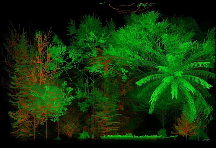 TropicForest.jpg - Tropical scene discretized to Voxel Space. Organ Skeleton Labels only are shown. // LIAMA Beijing - Cirad AMAP // 2003