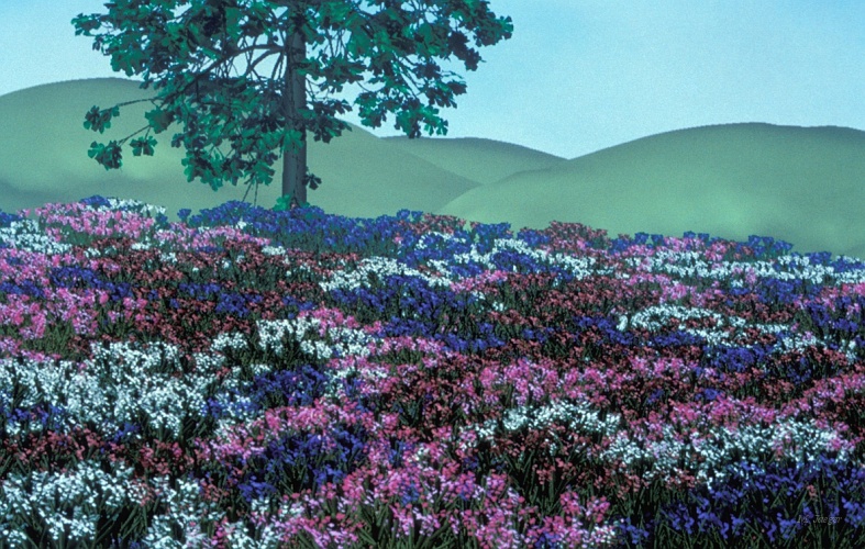 Garden_Flower_Aescu.jpg - Country side landscape. Close View. Screen Photograph. // Cirad - AMAP // 1989