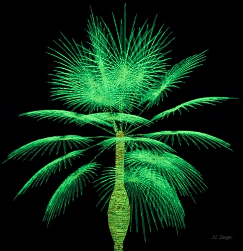 PalmTreeA_Crown_Lines.jpg - Palm Tree Crown. Wire frame 3D model on 256 Tektronix work station. (Work Station courtesy of  CNRS Kronenbourg Center Strasbourg). Photograph from Screen. // CNRS - Cirad AMAP // 1985