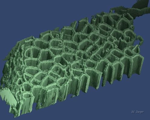 ApBio04.jpg - 3D reconstruction of Cells, from confocal microscope. Data courtesy INRA, Y. Traas. // INRA - CIRAD-Amap // 1998.