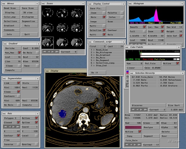 C2_Software.jpg - Volume Imaging Plateform prototype. GL-Irix systems. // Cirad AMAP // 1988-89