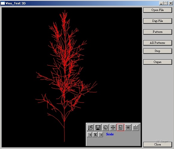 Vis_Tree.jpg - Line Tree VRML converter. // LIAMA Beijing - Cirad AMAP // 2002