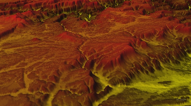 Close_Up.jpg - Depth Valley. False color trials. // INRIA DigiPlante - Cirad AMAP //  2006