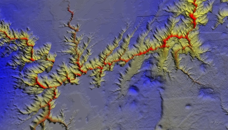 Terrain_WaterSoil_Runoff.jpg - Depth Valley. MNT in false colors, Cumulated Runoff in Red. // INRIA DigiPlante - Cirad AMAP //  2006